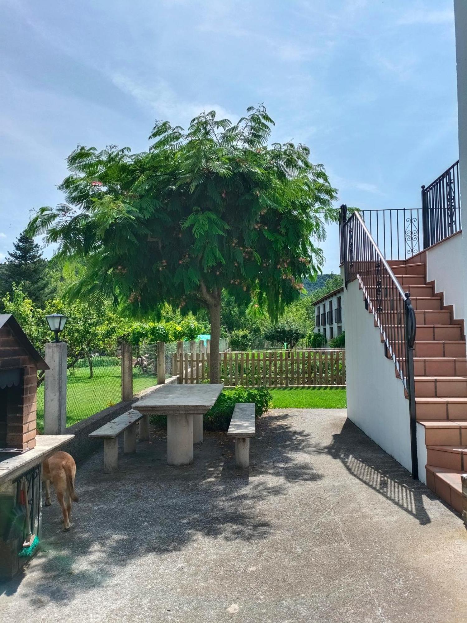 Apartamento Rural Casa Paco Con Jacuzzi Exterior Y Barbacoa Aínsa Eksteriør billede